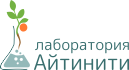 Лаборатория Айтинти - разработка сайтов в Калининграде