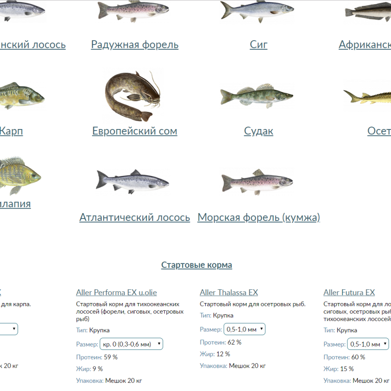 Список рыбных кормов